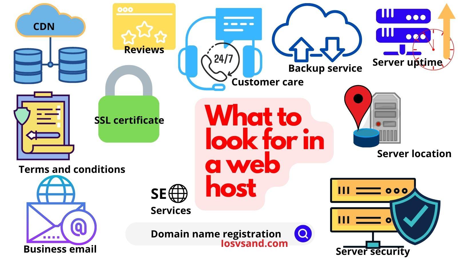 What traits should you look for in a web hosting provider